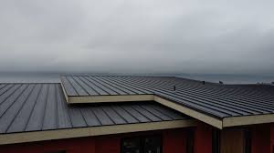 Best Roof Coating and Sealing  in Sparta, MI